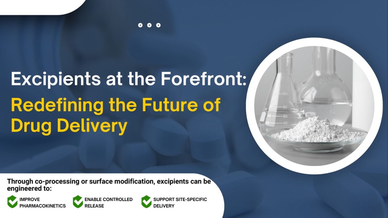 Excipients at the Forefront: Redefining the Future of Drug Delivery